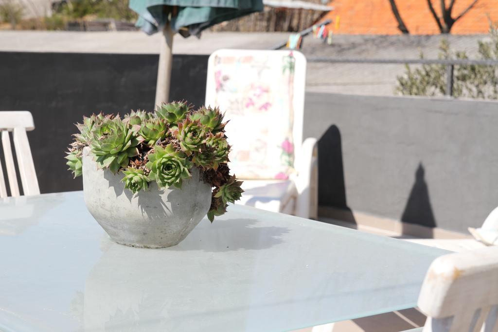 Drnis Dream Apartment 部屋 写真