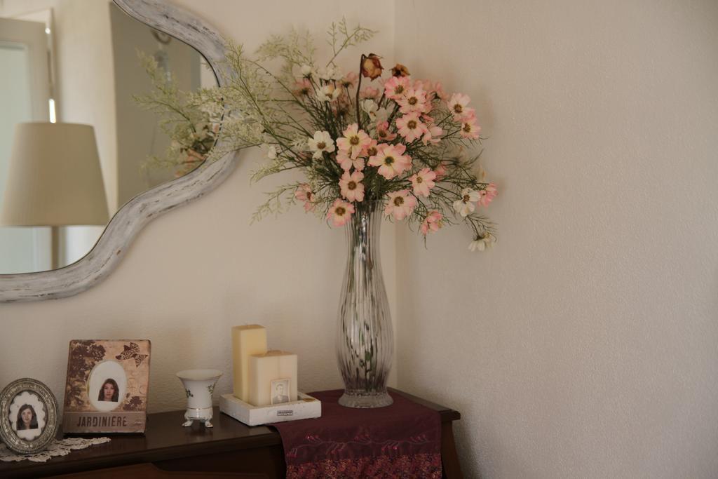Drnis Dream Apartment 部屋 写真